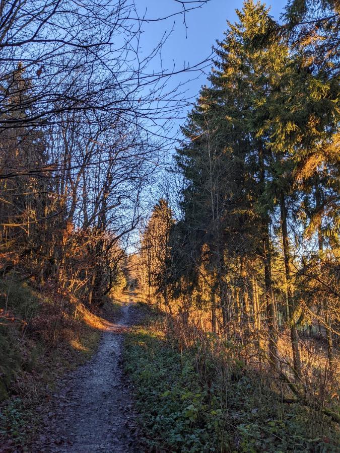 Zentrale Und Gemuetliche Ferienwohnung In Winterberg Nah An Der Natur Экстерьер фото