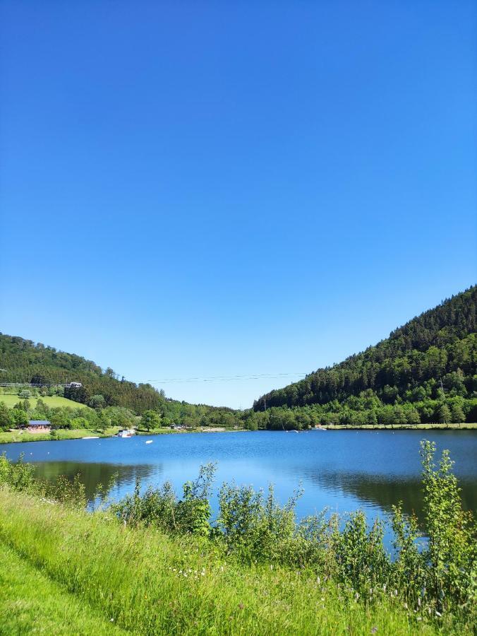Zentrale Und Gemuetliche Ferienwohnung In Winterberg Nah An Der Natur Экстерьер фото