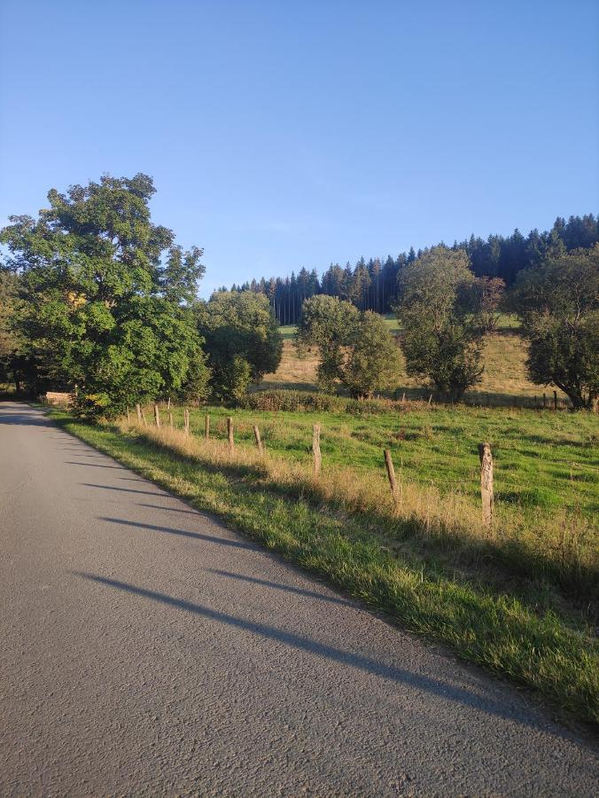 Zentrale Und Gemuetliche Ferienwohnung In Winterberg Nah An Der Natur Экстерьер фото