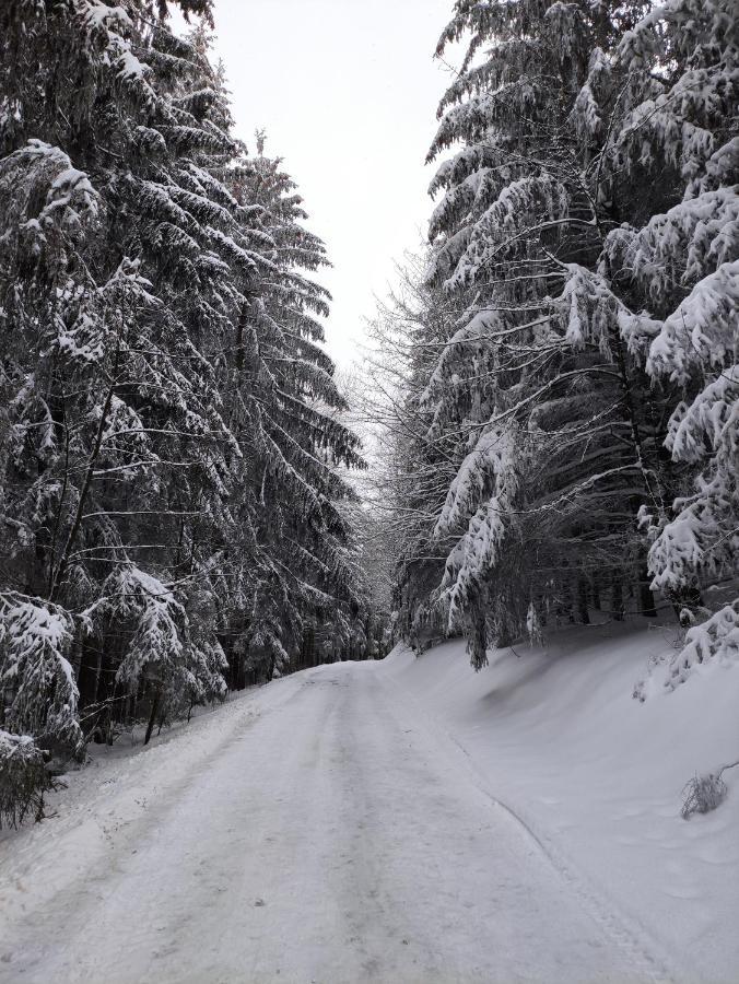Zentrale Und Gemuetliche Ferienwohnung In Winterberg Nah An Der Natur Экстерьер фото