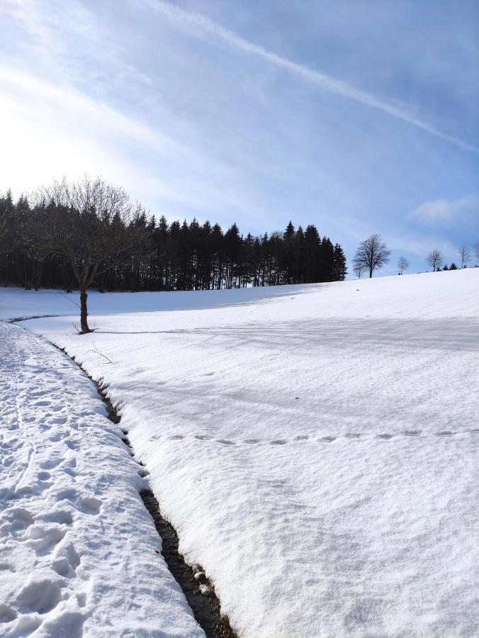 Zentrale Und Gemuetliche Ferienwohnung In Winterberg Nah An Der Natur Экстерьер фото