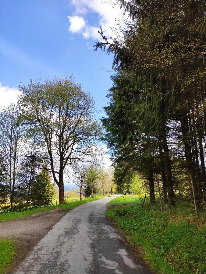 Zentrale Und Gemuetliche Ferienwohnung In Winterberg Nah An Der Natur Экстерьер фото