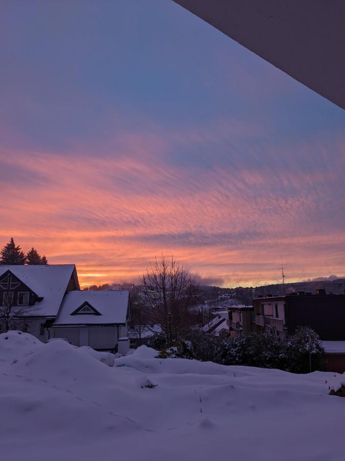 Zentrale Und Gemuetliche Ferienwohnung In Winterberg Nah An Der Natur Экстерьер фото